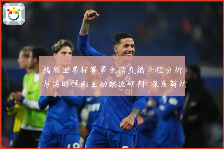 精彩世界杯赛事竞猜直播全程分析与实时预测互动数据研判-深度解析